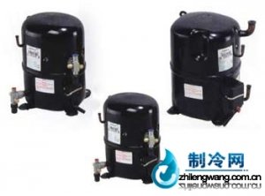 美國泰康壓縮機RGA5467E