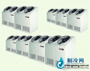 志高直冷式風冷立柜系列
