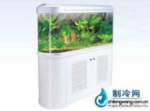 佳寶開放生態水族箱魚缸