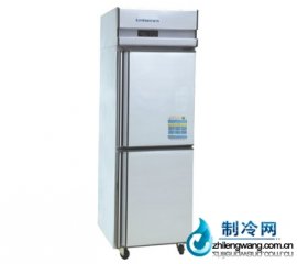 愛雪兩門單溫并冰箱