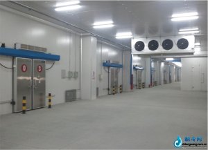  大型冷庫(kù) 
