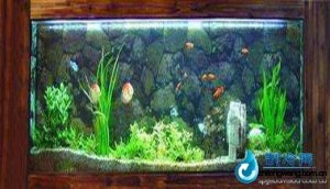 家用型觀賞性魚(yú)缸